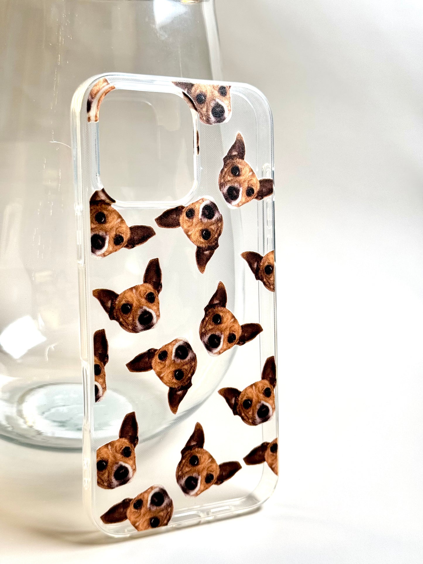 Pet Case