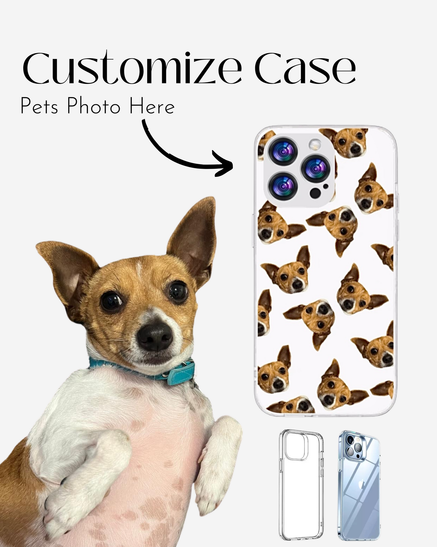 Pet Case